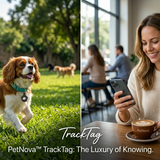 AirTag Dog Collar Holder | Silicone Pet GPS Tracker Attachment for Cats & Dogs