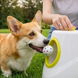 Automatic Ball Launcher for Dogs | Self-Play Indoor & Outdoor Fetch Machine